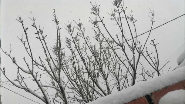 Опять зима? В Омской области выпал снег