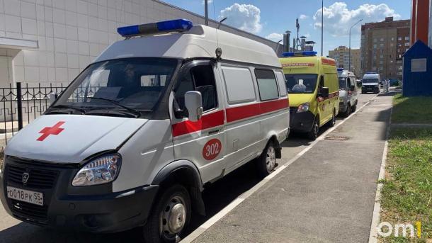 В Омской области мальчик умер после игры со щенком. Он заразился бешенством