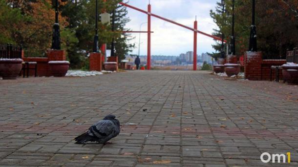 Омским паркам утвердили нового руководителя