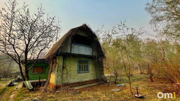 Омичей предупредили о штрафах за мойку машины на даче