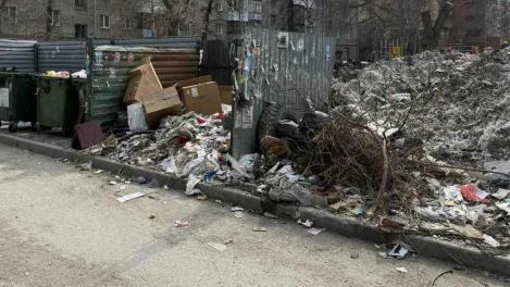 Снег сошёл, мусор остался: новосибирцы жалуются на грязные дворы возле НГАСУ