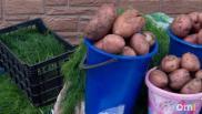 Омскую картошку будут продавать в Узбекистан