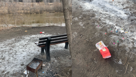 «Тропа здоровья» превратилась в тропу поросят: новосибирцы устроили помойку с яйцами и тортом на лавочке