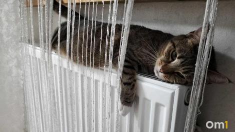 Мэр Омска рассказал, когда в городе отключат отопление