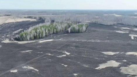 В Омской области лесоводы усилили контроль за пожарами