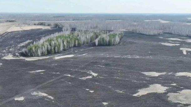 В Омской области лесоводы усилили контроль за пожарами