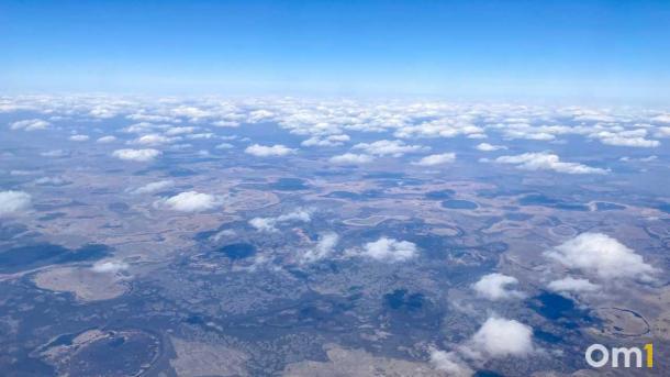 Стало известно, какие направления стали самыми популярными у новосибирцев в мае