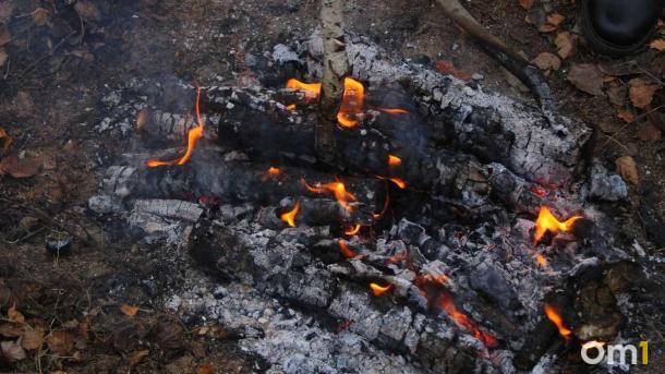 Штраф до 800 000 рублей: в Подмосковье ужесточили правила пожарной безопасности