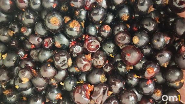 Виноград или ИИ-фейк — ученый объяснил, почему чудо-ягода на маркетплейсах оказалась обманом