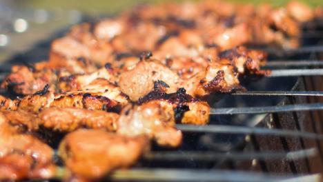 Шашлыки и лес отменяются: в Новосибирской области с 20 апреля вводят особый противопожарный режим