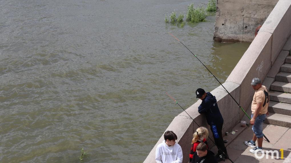 В Омской области ввели запрет на ловлю рыбы: сколько он будет действовать