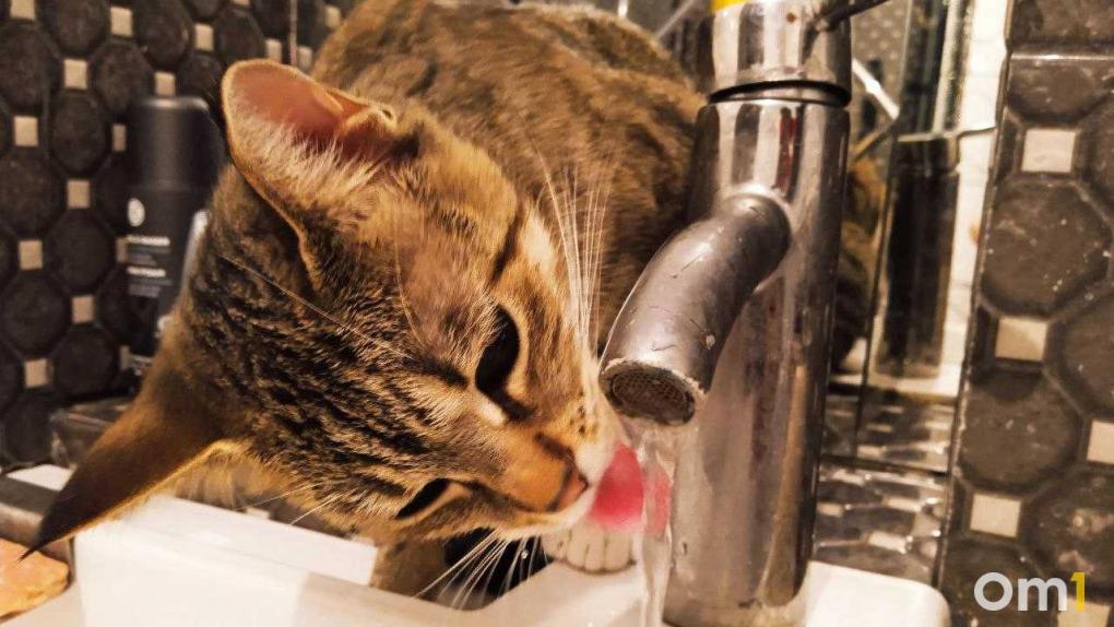 315 домов в Советском округе останутся без холодной воды на сутки: смотрим список адресов