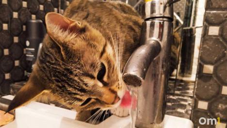 315 домов в Советском округе останутся без холодной воды на сутки: смотрим список адресов