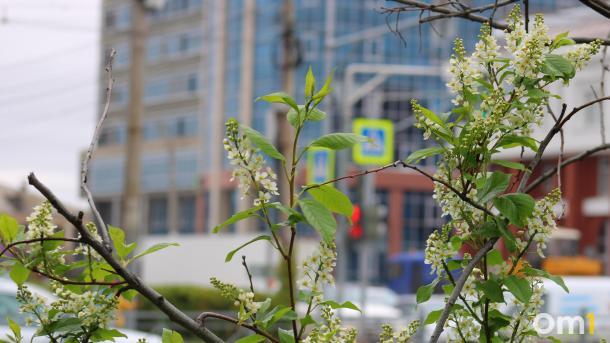 Омичи на следующей неделе будут работать всего четыре дня