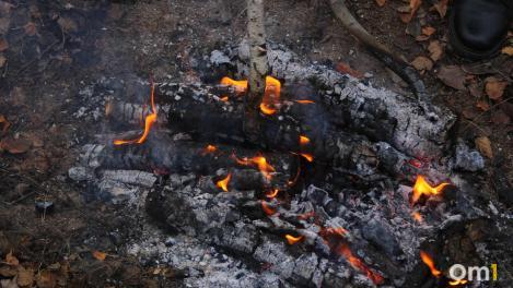 В Новосибирской области введен особый противопожарный режим