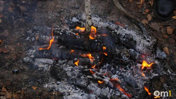 В Новосибирской области введен особый противопожарный режим