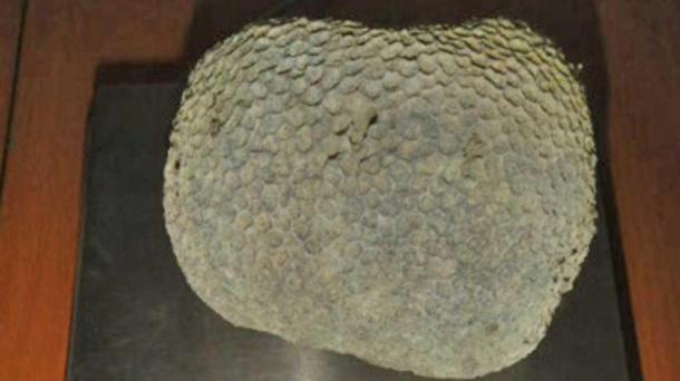 Новосибирец привёз с пляжа Дубая коралл, а получил два протокола