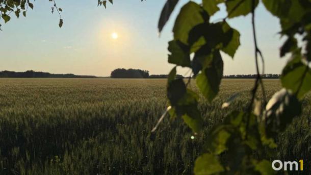 «Сегодня — крайний срок»: синоптик назвал последний день тёплой погоды в Москве