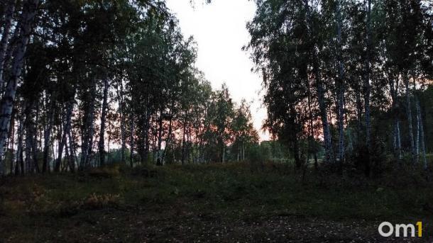 В Новосибирской области с начала сезона 82 человека пострадали от укусов клещей