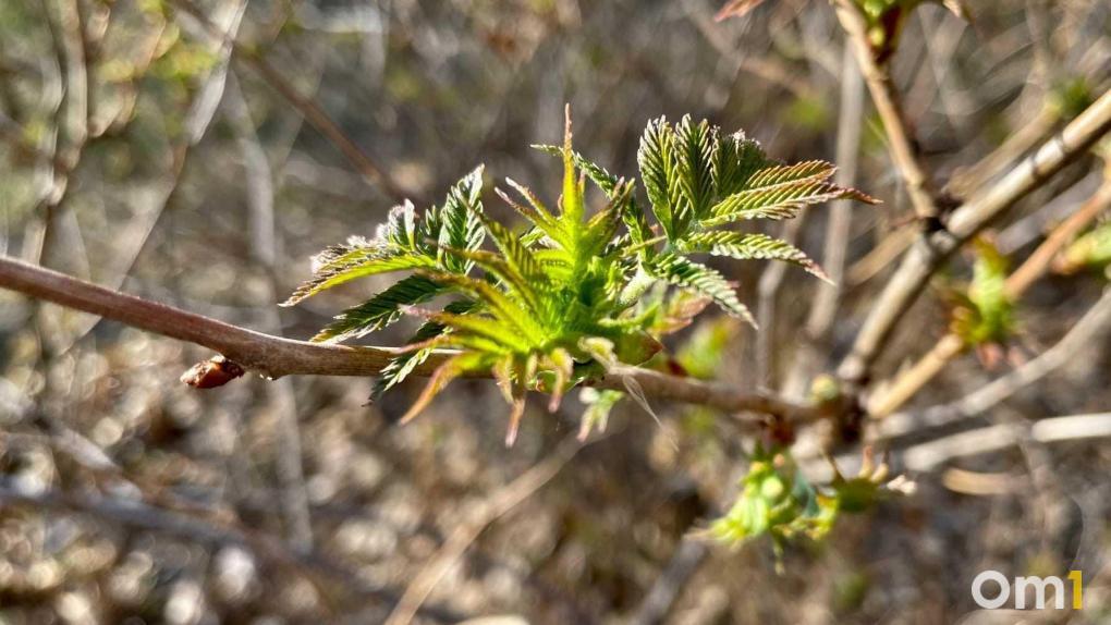 Когда отдыхать в мае 2026: календарь официальных праздников и рабочих дней