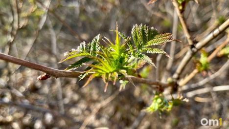 Когда отдыхать в мае 2026: календарь официальных праздников и рабочих дней