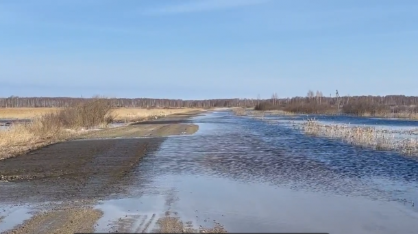 В Новосибирской области из-за переливов закрыта трасса к Чулыму