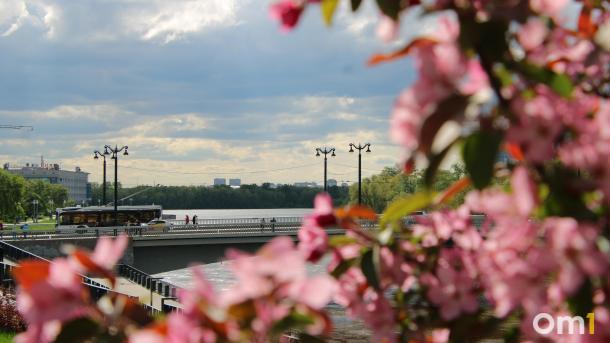 В центре Омска меняют популярные маршруты автобуса и троллейбуса