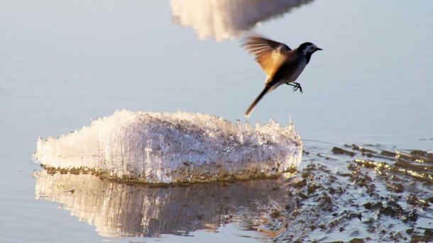 1295 судов уже на подходе: Новосибирский шлюз досрочно закончил подготовку к навигации