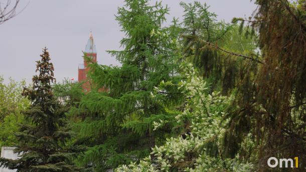 Омскую область настигнет резкое похолодание