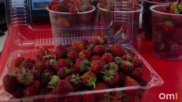 Из Омской области в Казахстан пытались ввезти партию заражённой рассады земляники