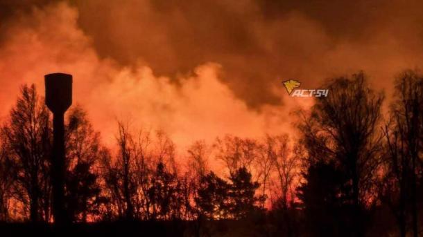 В Новосибирске сгорело поле на 10 гектар — тушили 5 часов