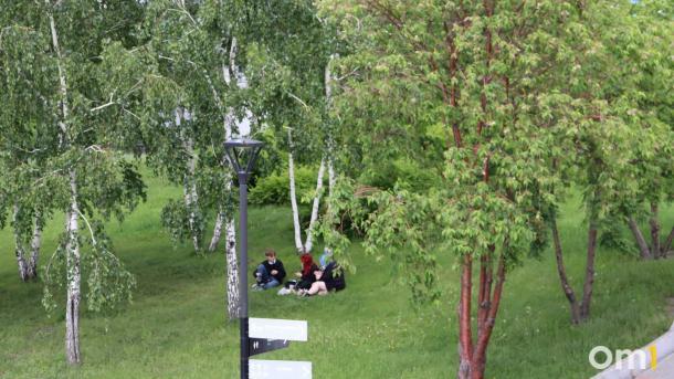 Новосибирцам рассказали, как избежать отравления на пикнике