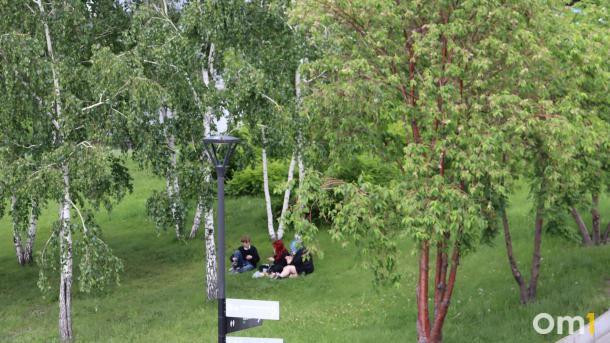 Роспотребнадзор предупредил новосибирцев о смертельной опасности неправильного хранения шашлыка на жаре