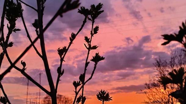В Новосибирске 1 мая воздух прогреется до +26°C: пик тепла на праздниках