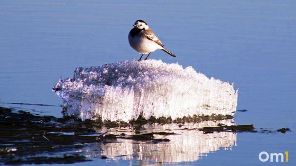Пятерых рыбаков унесло на льдине в Байкал