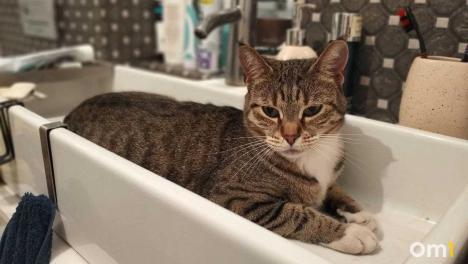 Омичам начнут отключать горячую воду: график отключений