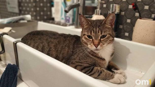 Омичам начнут отключать горячую воду: график отключений