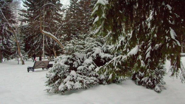 В Москве за сутки выпала половина месячной нормы осадков