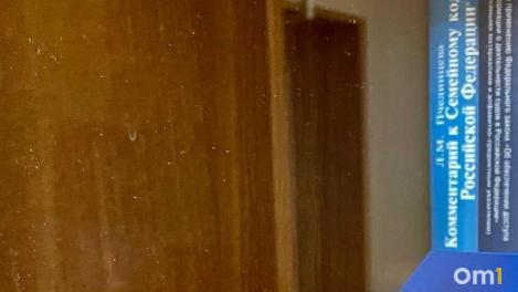 Пьяный водитель в Новосибирске получил полгода колонии-поселения за повторную пьяную езду