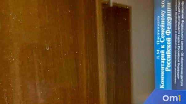 Задолжал дочери 2 миллиона: алиментщика из Новосибирска арестовали на сутки
