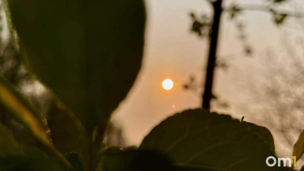 Омскую область к майским праздникам накроет мощная напасть