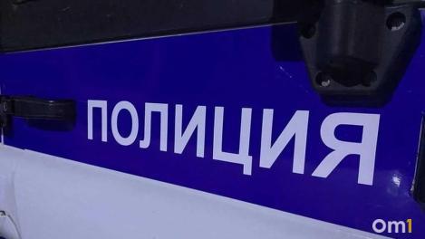 В Новосибирской области задержали лжеинкассаторов, пытавшихся забрать 4,5 миллиона у бдительного сельчанина
