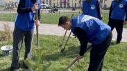 «Сад памяти» в Новосибирской области: в Ордынском районе посадили 3,6 тысячи сеянцев сосны обыкновенной