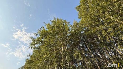 Штрафы за разведение огня в Омской области увеличили вдвое