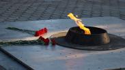 Новосибирск украсят 637 флагами к 9 мая — мэрия назвала даты, когда город преобразится ко Дню Победы