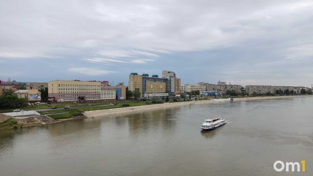 На Иртышской набережной в Омске высадят виноград