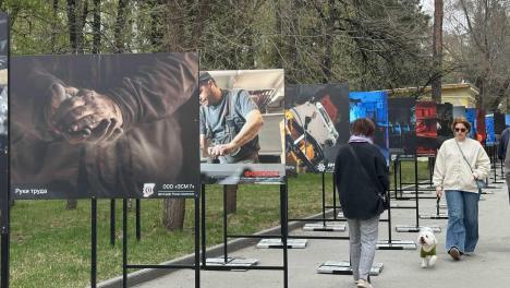 Бесплатно и до 3 июня: в Центральном парке Новосибирска можно увидеть, как собирают микросхемы и добывают глину
