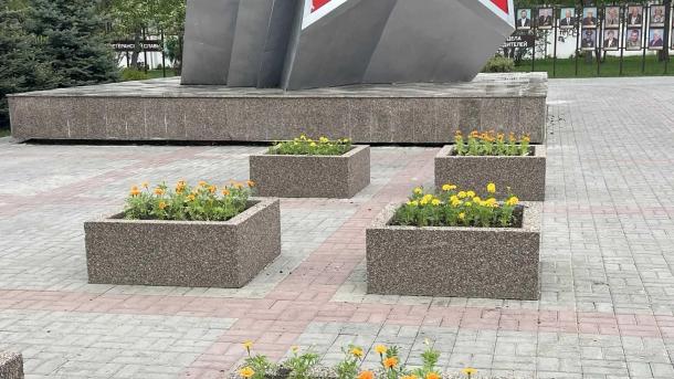 Более 50 000 однолетних цветов высадят в Омске к 9 Мая