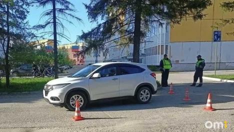 В Чкаловском посёлке омич на иномарке сбил насмерть пешехода