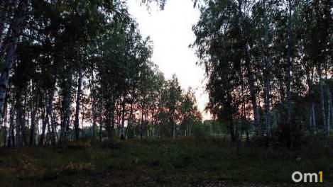 В Омской области ожидается чрезвычайная пожарная опасность 5-го класса